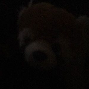 Meet your Posher, Zach